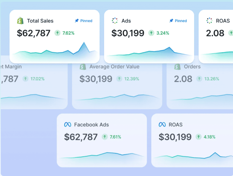 Triple Whale dashboard interface
